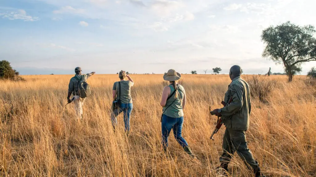 Tarangire National Park highlight